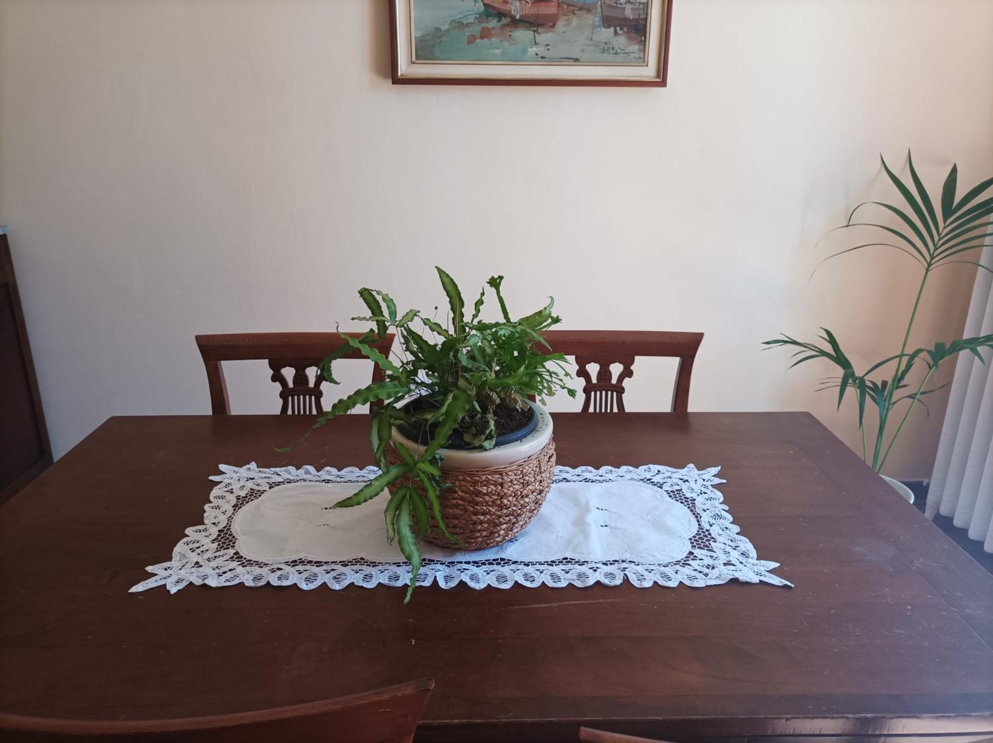 Bed And Breakfast Da Pio Castello  Buitenkant foto