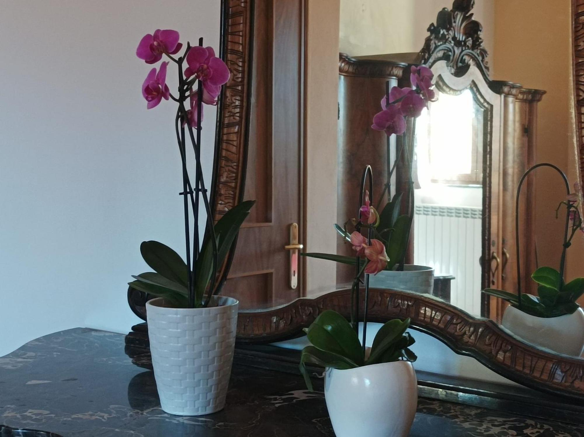 Bed And Breakfast Da Pio Castello  Buitenkant foto